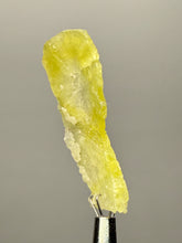 Load image into Gallery viewer, Vibrant Yellow Brucite Thumbnail Mineral Specimen | Collector Crystal from Killa Saifullah District in Balochistan Province, Pakistan