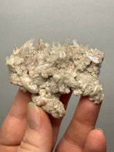 Load image into Gallery viewer, Himalayan Quartz Point Cluster on Matrix | Collector Mineral | India