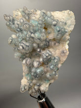 Load image into Gallery viewer, Blue-Green Chrysocolla in Botryoidal Chalcedony Cabinet Specimen | Indonesia