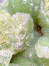 Load image into Gallery viewer, High-Grade Green Wavellite Collectors Specimen - Radiating Botryoidal Crystal Formation - Arkansas, USA