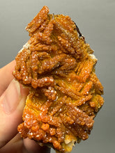 Load image into Gallery viewer, Natural Vanadinite on Matrix | Collector Mineral Specimen | Morocco