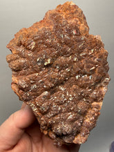 Load image into Gallery viewer, Chalcedony Quartz Rose Agate Collector Mineral Specimen – Morocco
