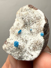 Load image into Gallery viewer, Rare Electric Blue Cavansite on Druzy Matrix – Collector Mineral Specimen | India