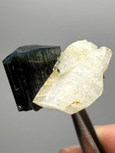 Load image into Gallery viewer, Blue Cap Dark Green Stak Nala Tourmaline and Cleavelandite – Haramosh Mountains, Pakistan | Thumbnail Specimen