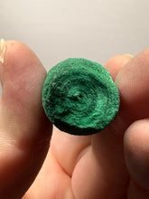 Load image into Gallery viewer, 5.7” High-Grade Malachite Stalactite Botryoidal “Cave” Formation | DR Congo | Mineral Collector Specimen