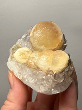 Load image into Gallery viewer, Rare Botryoidal Yellow Fluorite on Quartz Matrix Collector Mineral Specimen – Maharashtra, India
