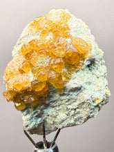 Load image into Gallery viewer, Hessonite Garnet Cluster on Matrix – Thumbnail Collector Specimen from Pakistan | High-Grade Orange-Red Garnet Crystals