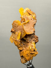 Load image into Gallery viewer, High-Grade Orange Wulfenite Collector Display Specimen | La Morita Mine, Chihuahua, Mexico