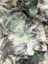 Load image into Gallery viewer, High-Grade Green Wavellite Collectors Specimen - Radiating Botryoidal Crystal Formation - Arkansas, USA