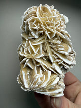 Load image into Gallery viewer, Desert Rose Selenite (Gypsum) — Mineral Display Specimen | Mexico
