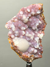 Load image into Gallery viewer, “Goblin Chalcedony” Pink and Red Druzy Botryoidal Stalactites — Tichka Massif, High Atlas, Morocco