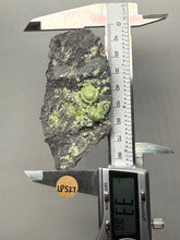 Load image into Gallery viewer, High-Grade Green Wavellite Collectors Specimen - Radiating Botryoidal Crystal Formation - Arkansas, USA