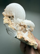 Load image into Gallery viewer, Moroccan Ram’s Horn Selenite (Gypsum) Crystal Display Specimen