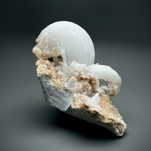 Load image into Gallery viewer, Moroccan Ram’s Horn Selenite (Gypsum) Crystal Display Specimen