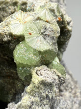 Load image into Gallery viewer, High-Grade Green Wavellite Collectors Specimen - Radiating Botryoidal Crystal Formation - Arkansas, USA