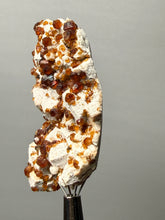 Load image into Gallery viewer, Hessonite Garnet on Feldspar | Mineral Collector Specimen | Pakistan