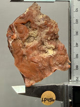 Load image into Gallery viewer, Chalcedony Quartz Rose Agate Collector Mineral Specimen – Morocco