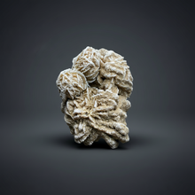 Load image into Gallery viewer, Desert Rose Selenite (Gypsum) — Mineral Display Specimen | Mexico
