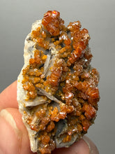 Load image into Gallery viewer, Natural Vanadinite on Matrix | Collector Mineral Specimen | Morocco