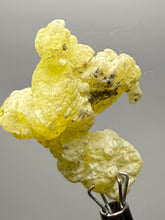 Load image into Gallery viewer, Vibrant Yellow Brucite Thumbnail Mineral Specimen | Collector Crystal from Killa Saifullah District in Balochistan Province, Pakistan