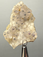 Load image into Gallery viewer, Blue-Green Chrysocolla in Botryoidal Chalcedony Cabinet Specimen | Indonesia