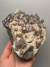 Load image into Gallery viewer, Skeletal “Spirit” Brazilian Smoky Amethyst, Collector Mineral Specimen | Brazil