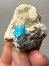 Load image into Gallery viewer, Rare Electric Blue Cavansite on Druzy Matrix – Collector Mineral Specimen | India