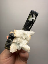Load image into Gallery viewer, Blue Cap Dark Green Stak Nala Tourmaline on Cleavelandite Matrix – Haramosh Mountains, Pakistan