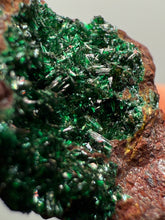 Load image into Gallery viewer, Brochantite Collector Mineral Specimen – Vivid Green Copper Crystals from Morocco