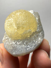 Load image into Gallery viewer, Rare Botryoidal Yellow Fluorite on Quartz Matrix Collector Mineral Specimen – Maharashtra, India