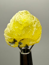 Load image into Gallery viewer, Vibrant Yellow Brucite Thumbnail Mineral Specimen | Collector Crystal from Killa Saifullah District in Balochistan Province, Pakistan