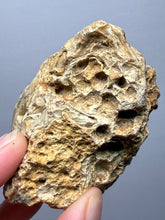 Load image into Gallery viewer, Premium Sumatra Agate (Banded Chalcedony) Display Specimen | Indonesia