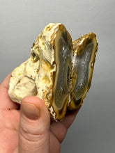 Load image into Gallery viewer, Premium Sumatra Agate Pair (Banded Chalcedony) Display Specimen | Indonesia