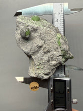 Load image into Gallery viewer, High-Grade Green Wavellite Collectors Specimen - Radiating Botryoidal Crystal Formation - Arkansas, USA
