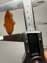 Load image into Gallery viewer, Lot of 9 Small Malawi Agate Halves – Polished Rare Colorful Collector Specimens