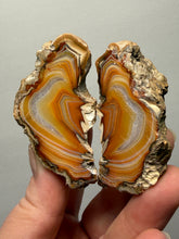 Load image into Gallery viewer, Premium Sumatra Agate Pair (Banded Chalcedony) Display Specimen | Indonesia