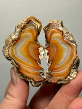 Load image into Gallery viewer, Premium Sumatra Agate Pair (Banded Chalcedony) Display Specimen | Indonesia