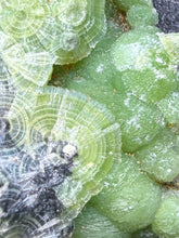 Load image into Gallery viewer, High-Grade Green Wavellite Collectors Specimen - Radiating Botryoidal Crystal Formation - Arkansas, USA