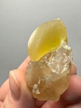 Load image into Gallery viewer, Rare Botryoidal Yellow Fluorite on Quartz Matrix Collector Mineral Specimen – Maharashtra, India