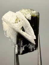 Load image into Gallery viewer, Dark Green Cap Stak Nala Tourmaline with Cleavelandite Flower – Haramosh Mountains, Pakistan | Thumbnail Specimen
