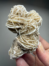 Load image into Gallery viewer, Desert Rose Selenite (Gypsum) — Mineral Display Specimen | Mexico