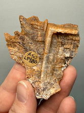 Load image into Gallery viewer, Chalcedony Quartz Rose Agate Collector Mineral Specimen – Morocco