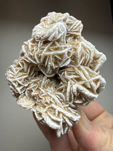 Load image into Gallery viewer, Desert Rose Selenite (Gypsum) — Mineral Display Specimen | Mexico