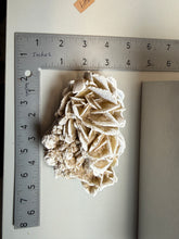 Load image into Gallery viewer, Desert Rose Selenite (Gypsum) — Mineral Display Specimen | Mexico