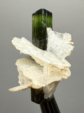 Load image into Gallery viewer, Dark Green Stak Nala Tourmaline and Cleavelandite – Haramosh Mountains, Pakistan | Thumbnail Specimen