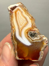 Load image into Gallery viewer, Premium Sumatra Agate (Banded Chalcedony) Display Specimen | Indonesia