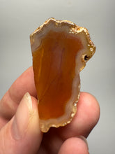 Load image into Gallery viewer, Lot of 9 Small Malawi Agate Halves – Polished Rare Colorful Collector Specimens