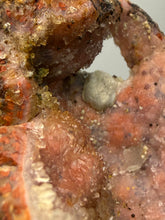 Load image into Gallery viewer, “Goblin Chalcedony” Pink & Orange Druzy Botryoidal Stalactites — Tichka Massif, High Atlas, Morocco