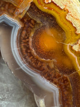 Load image into Gallery viewer, High-Grade Turkish Agate with Botryoidal Chalcedony Vug – Rare Collector’s Gem