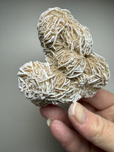 Load image into Gallery viewer, Desert Rose Selenite (Gypsum) — Mineral Display Specimen | Mexico